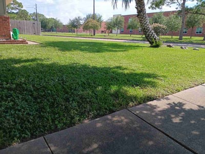 Lawn Care service in La Porte, 77571
