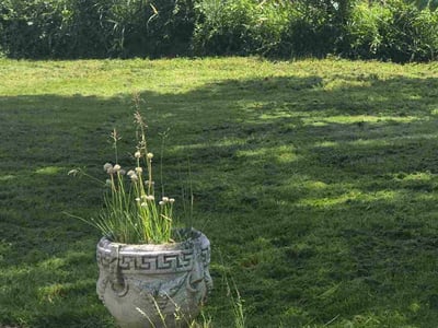Lawn Care service in Hamburg, 14075