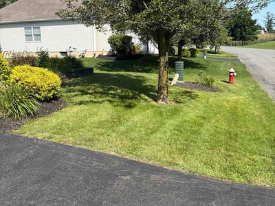 Lawn Care service in Albany, 12207