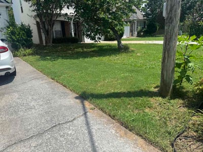 Lawn Care service in Leicester, 28748