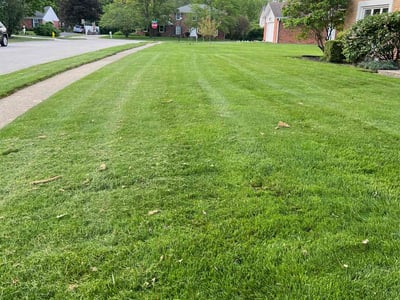 Lawn Care service in Carmel, 46032
