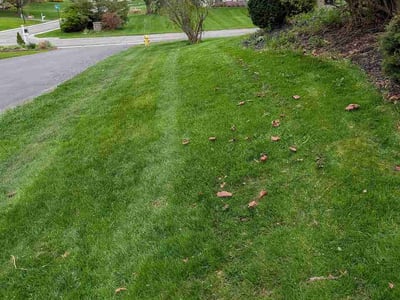 Lawn Care service in Victor, 14564