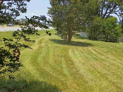 Lawn Care service in Garden City, 11530
