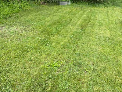 Lawn Care service in Ross Township, 15237