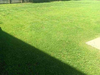 Lawn Care service in Stallings, 28104