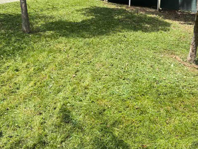 Lawn Care service in Forest Park, 30297