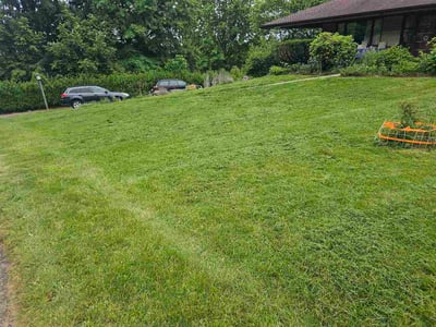Lawn Care service in Allison Park, 15101