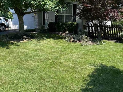 Lawn Care service in Phoenixville, 19460