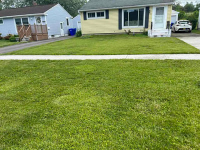 Lawn Care service in Sanborn, 14132