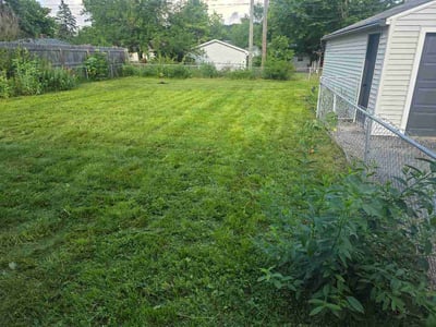 Lawn Care service in Moreno Valley, 92557