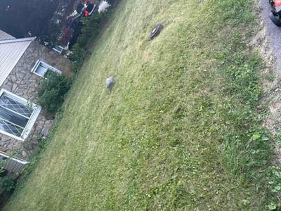 Lawn Care service in York, 17401