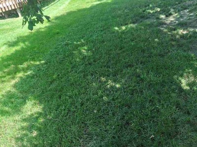 Lawn Care service in Carpentersville, 60110