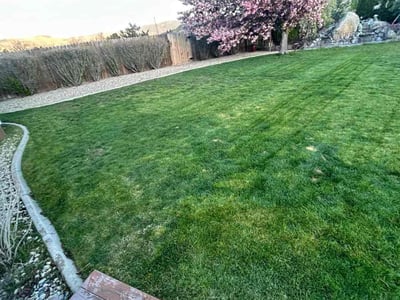 Lawn Care service in Reno, 89501