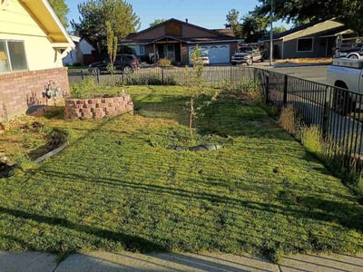 Lawn Care service in Reno, 89501