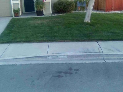 Lawn Care service in Reno, 89501