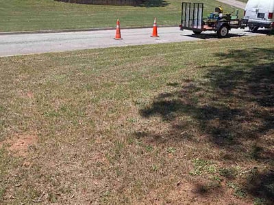 Lawn Care service in Stockbridge, 30281