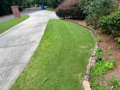 Lawn Care service in Homewood, 35209