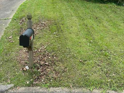 Lawn Care service in Homewood, 35209