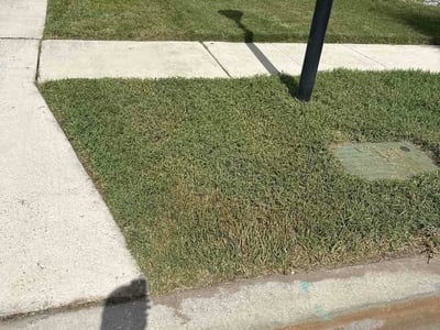 Lawn Care service in Ruskin, 33570