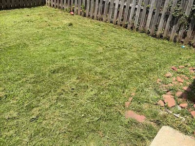 Lawn Care service in Columbia, 29201