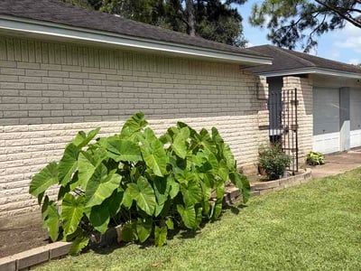 Lawn Care service in Tehachapi, 93561