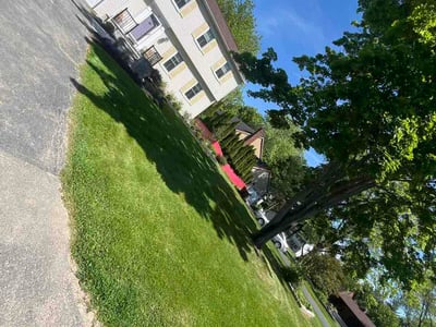 Lawn Care service in Delmar, 12054