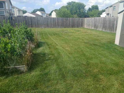 Lawn Care service in Beaver, 15009