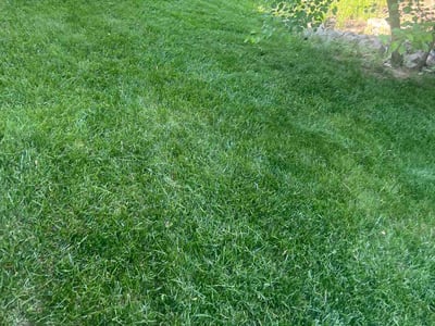 Lawn Care service in Martinsville, 46151