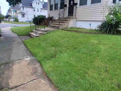 Lawn Care service in Piscataway, 08854