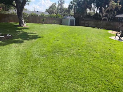 Lawn Care service in Maitland, 32751