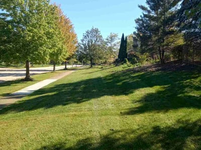 Lawn Care service in Mchenry, 60050