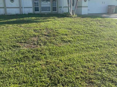 Lawn Care service in West Palm Beach, 33401