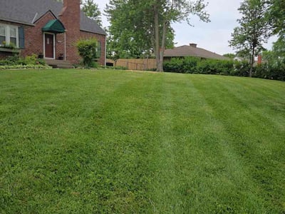 Lawn Care service in Parkville, 64152