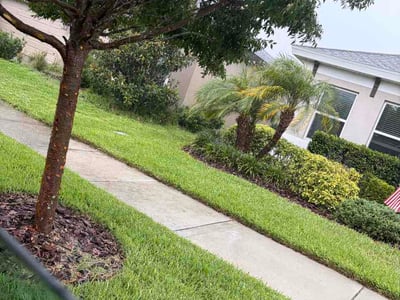 Lawn Care service in Land O Lakes, 34639