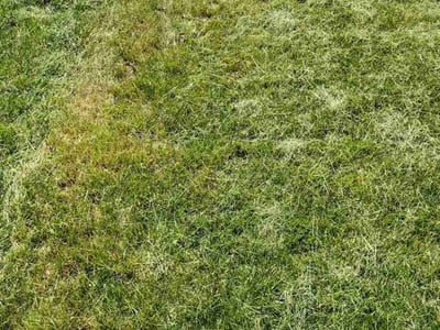 Lawn Care service in Republic, 65738