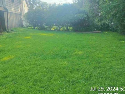 Lawn Care service in Saint Peters, 63376