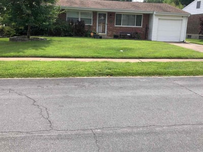 Lawn Care service in ,