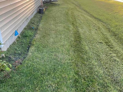 Lawn Care service in Blaine, 55434
