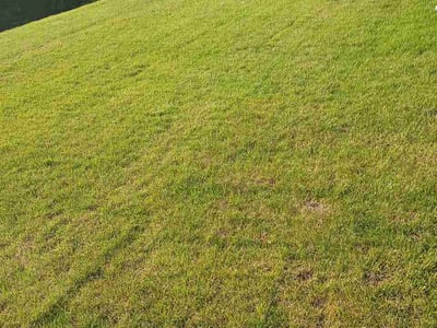 Lawn Care service in Crestwood, 63126