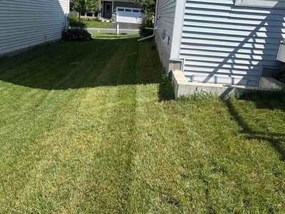 Lawn Care service in Prior Lake, 55372