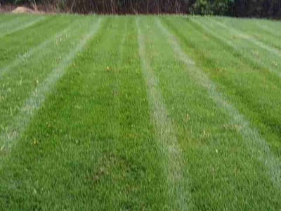 Lawn Care service in Lemont, 60439