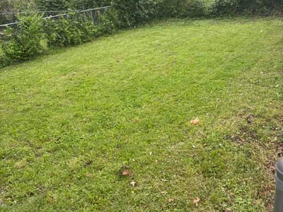 Lawn Care service in Springfield, 65806