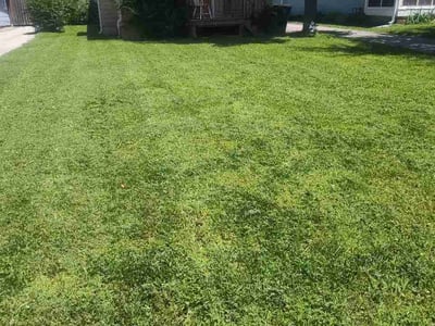 Lawn Care service in Bolivar, 65613