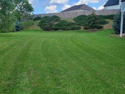 Lawn Care service in Adairsville, 30103