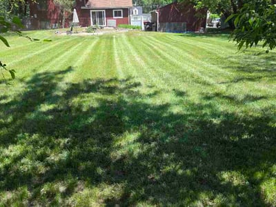 Lawn Care service in Holly, 48442