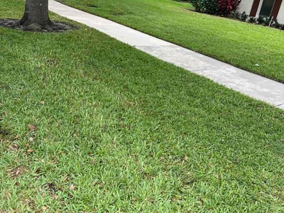 Lawn Care service in Riviera Beach, 33404