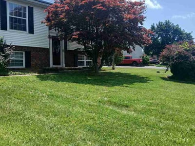 Lawn Care service in Troy, 12180