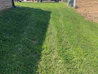 Lawn Care service in Byram, 39272