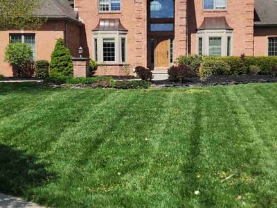 Lawn Care service in Maumee, 43537