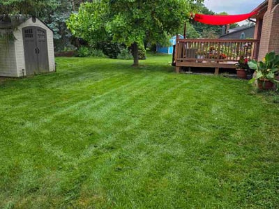 Lawn Care service in Plymouth, 48170